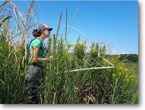 Jocelyn Kickbush in the field